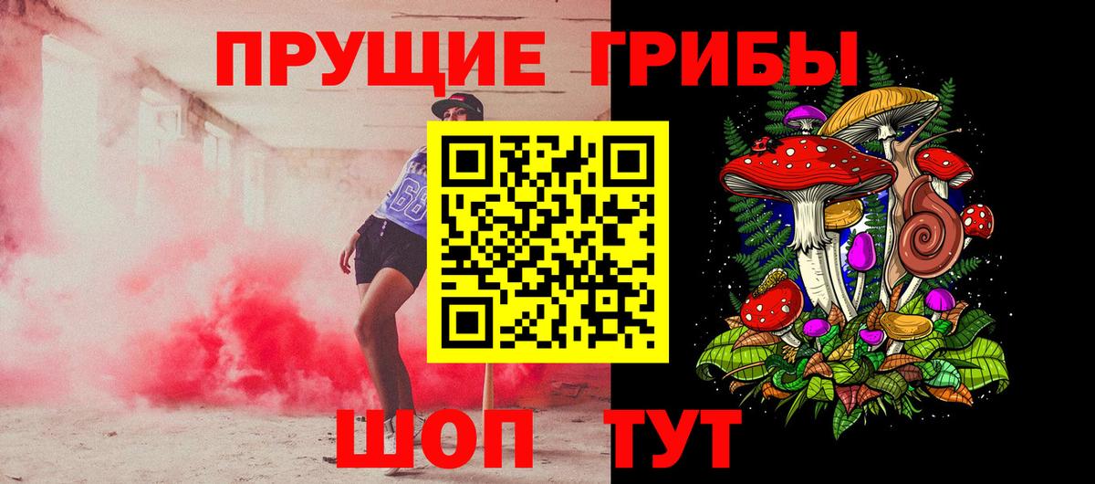 Альметьевск  Псилоцибиновые грибы GOLDEN TEACHER  Вход с VPN  Галлюциногенные грибы GOLDEN TEACHER 